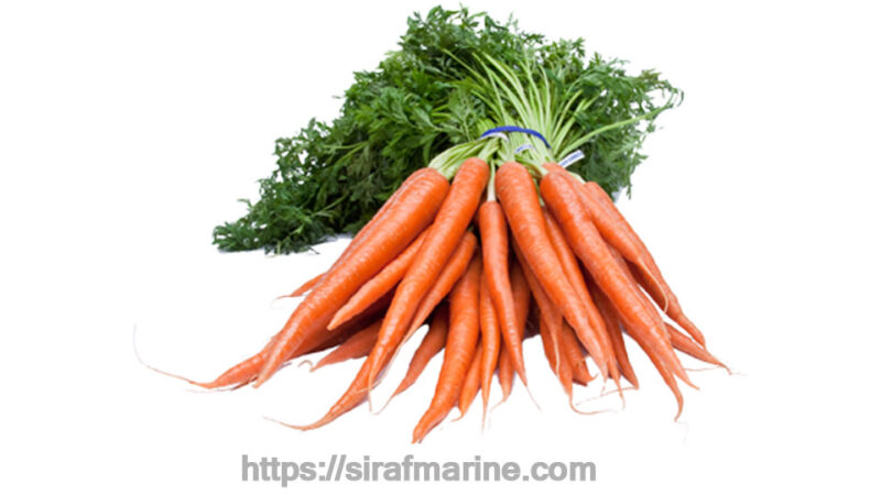 Carrot export
