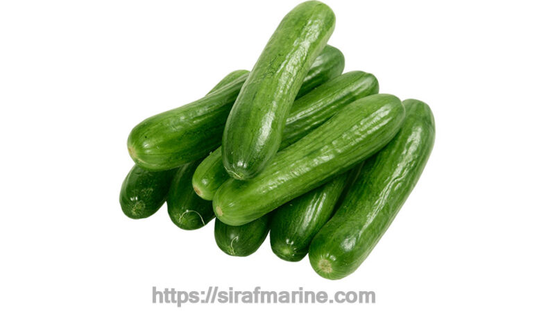 Cucumber export