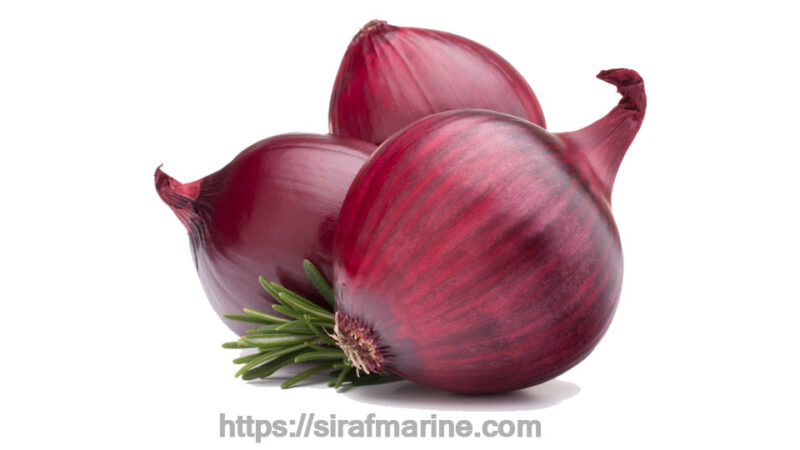 Red onion export