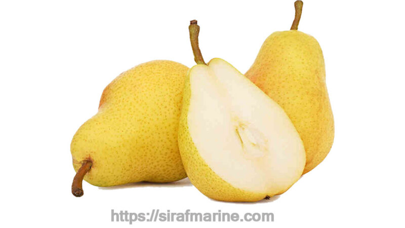 Pear export
