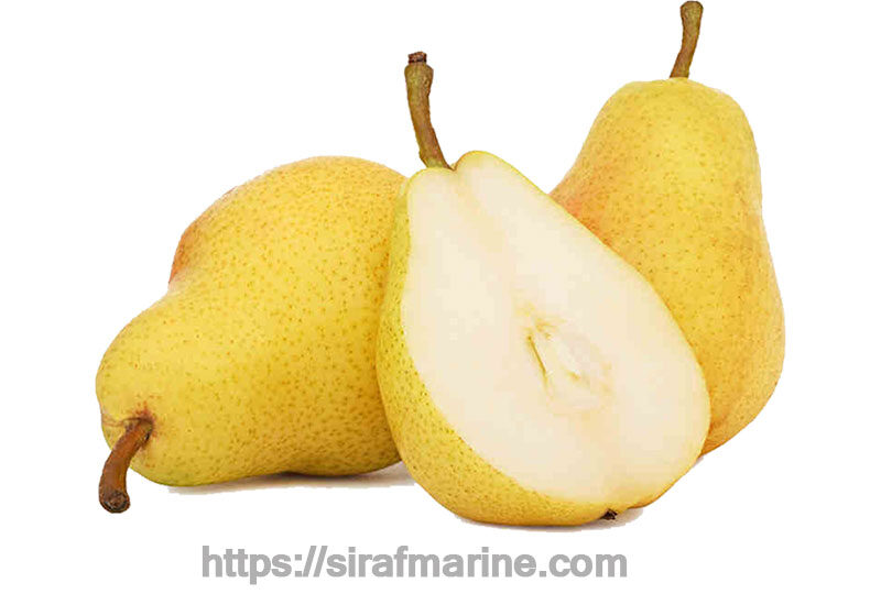 Pear export