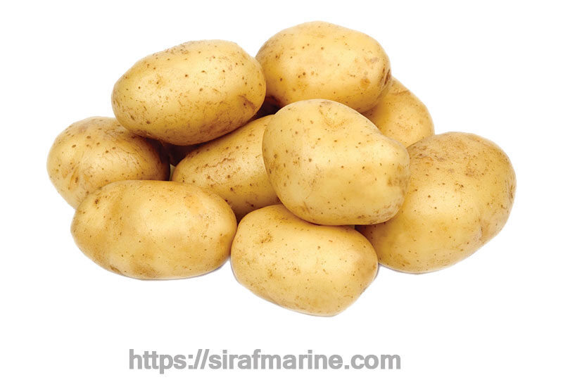 Potato export