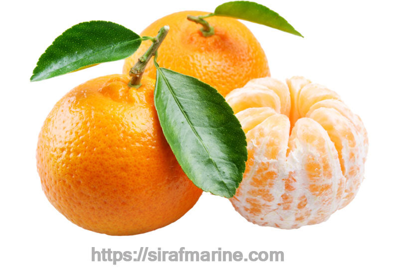 Tangerine export