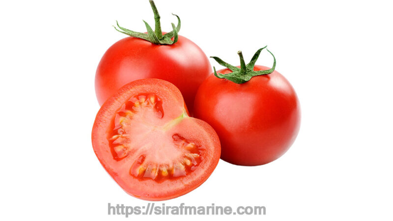 Экспорт томатов