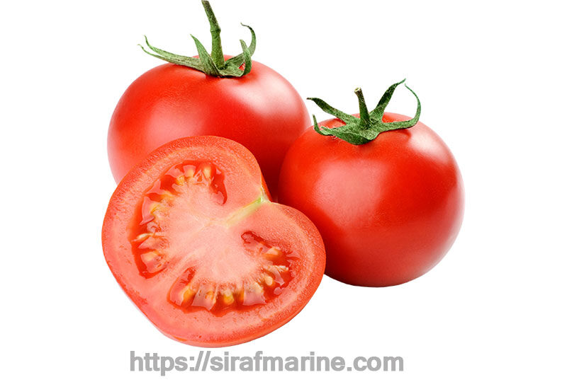 Tomato export