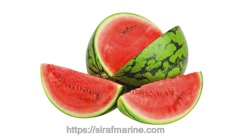 Watermelon export