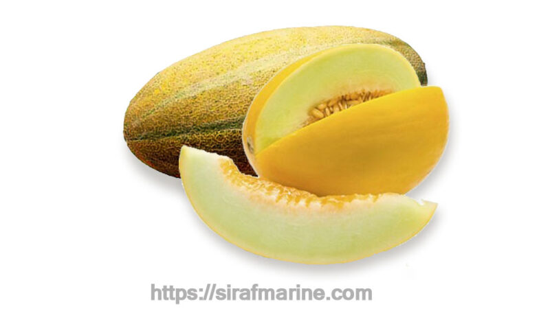 Melon export
