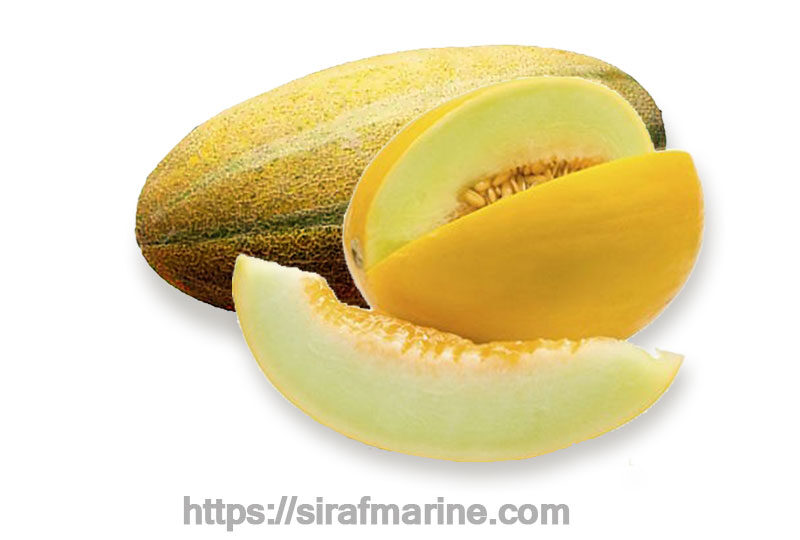Melon export