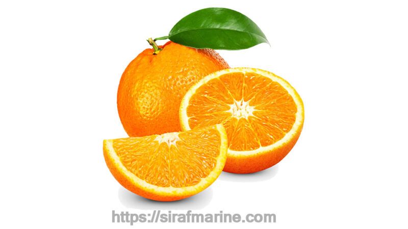 Orange export