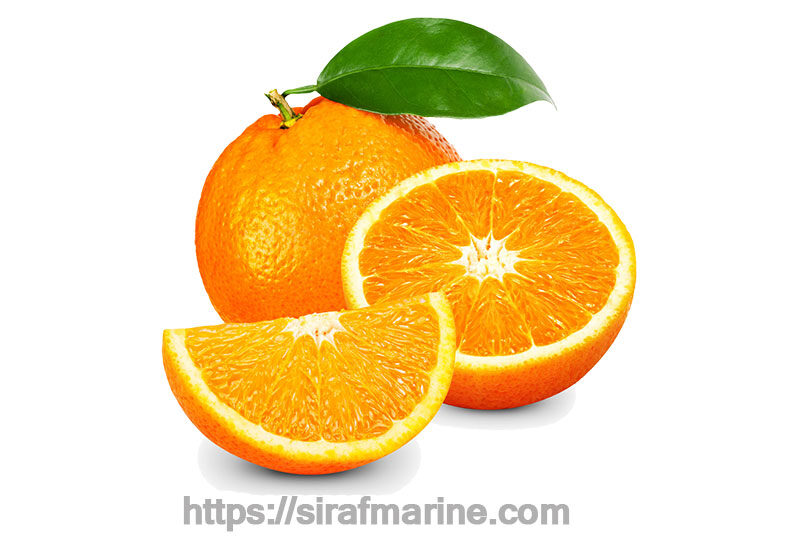 Orange export
