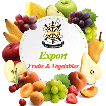 export fresh fruit and vegetables