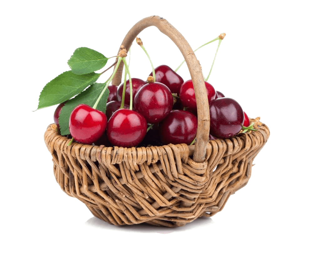 صادرات میوه و تره بار